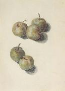 Etude de cinq prunes (mk40), Edouard Manet